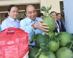 Thủ tướng giải đáp nhiều câu hỏi 