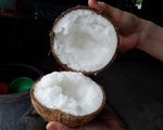 Kể chuyện cây trái miền tây - Kỳ 4:  