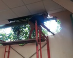Cưỡng chế 16 căn nhà trái phép trong khu đại học Thủ Đức