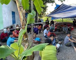 Bắt quả tang 56 người dựng lều đánh bạc ở ngoại thành Nha Trang