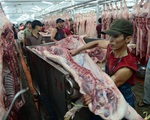 Tăng nhập khẩu để đảm bảo nguồn cung và kiểm soát giá thịt heo
