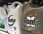 Úc xử vụ dân kiện tập thể về thuốc diệt cỏ của Monsanto gây ung thư