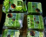 7 gói tinh thể nghi ma túy đá có chữ Trung Quốc dạt vào bờ biển Quảng Trị