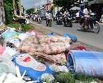Khổ vì... rác khổng lồ, nào là sofa nào là giường tủ