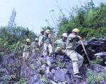 Những 