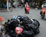 WWF: 30% hộ gia đình ở Việt Nam đã phân loại rác, hộ kinh doanh làm ngơ