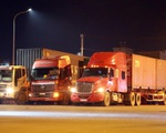Khổ vì... thiếu bãi đậu xe, xe tải và container phải đậu tạm trên đường