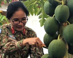Mũ nồi xanh Việt Nam ở Nam Sudan - Kỳ 4: Ngồi bên nhau uống tách trà