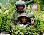 Ngắm những khoảnh khắc yêu thương gia đình ở khắp nẻo Việt Nam