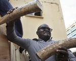 Uganda bắt hai người Việt buôn lậu ngà voi trị giá hơn 2 triệu đô