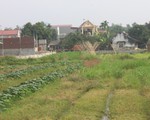 Người đàn ông ở một mình nghi bị cướp siết cổ chết