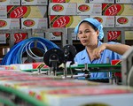 Cục Thuế TP báo cáo tiếp Tổng cục Thuế vụ truy thu thuế Sabeco, Unilever