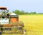 Để người trồng lúa thôi 