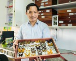 Nhà khoa học Đại học Duy Tân phát hiện loài chuồn chuồn kim mới ở Tây Nguyên