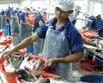 Trả lương 14 triệu đồng vẫn khó tìm công nhân thủy sản