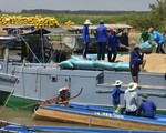 Bắt đầu mua lúa gạo dự trữ: Đảm bảo dân có lãi