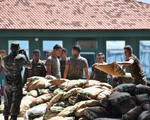 Căng thẳng cứu trợ, quân đội Venezuela nổ súng, ít nhất 2 người chết
