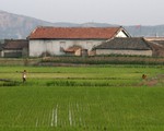 Báo Hàn: 