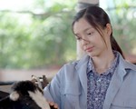 Mùa cúc Susi và cách gõ cửa tìm khán giả 