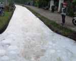 Mang thùng dung dịch lạ ra kênh súc rửa, nước sủi bọt, cá chết