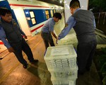 Hành khách đi tàu SE3, SE4 sẽ mua suất ăn như trên máy bay giá rẻ