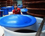 Vụ nước mắm sao rồi? Sao rồi là sao?