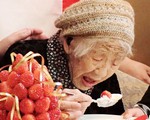 Bí quyết giản đơn của cụ bà Nhật Bản cao tuổi nhất thế giới
