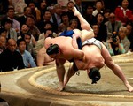 Mỡ võ sĩ sumo nặng cả trăm kg, khác mỡ người béo phì