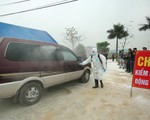 Nhiều tỉnh chưa xác định được dịch tả heo châu Phi từ đâu ra