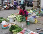 TP.HCM chỉ đạo khẩn: Chấm dứt hoạt động chợ tạm Cô Giang