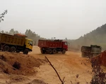 Bình Định: doanh nghiệp đào đất trồng rừng san lấp công trình