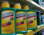 Tòa Mỹ lại xác định thuốc diệt cỏ Roundup gây ung thư