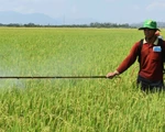 Thuốc diệt cỏ gây ung thư: Biết độc, sao chưa cấm?