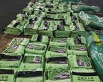 Philippines bắt giữ 276kg ma túy xuất đi từ cảng Cát Lái