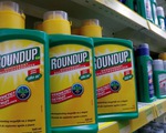 Việt Nam cấm nhập khẩu thuốc trừ cỏ có hoạt chất Glyphosate