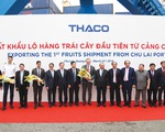 Thaco xây nền nông nghiệp công nghệ cao