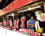 Heo sạch ế, tàn phá ngành chăn nuôi lớn hơn dịch tả heo châu Phi