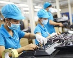 Bộ Tài chính đề xuất áp thuế 15% doanh nghiệp siêu nhỏ thay vì 20#phantram