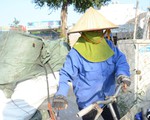 Nắng nóng gay gắt trong 3 ngày tới, TP.HCM chạm ngưỡng 37 độ C
