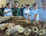 Bắt giữ 9,1 tấn nghi là ngà voi ở cảng Tiên Sa