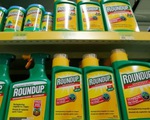Bayer phải bồi thường 80,9 triệu USD trong vụ thuốc diệt cỏ Roundup