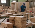 Thủ tướng ra chỉ thị để phát triển ngành gỗ 
