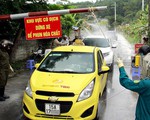 Dịch tả heo châu Phi đã lan ra 7 tỉnh thành, tiêu hủy gần 4.000 con