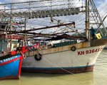 Ngân hàng khởi kiện chủ tàu cá nợ xấu