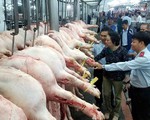 Thủ tướng Nguyễn Xuân Phúc: 