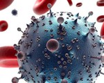 Thêm bệnh nhân thứ hai trên thế giới được chữa khỏi HIV