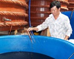 Tạm dừng thẩm định dự thảo tiêu chuẩn về sản xuất nước mắm