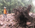 Dân ‘vây’ dự án nuôi tôm phá cả rừng phòng hộ ven biển