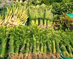 Các siêu thị nhập cuộc 