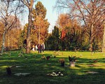 Hẹn hò, picnic, phơi nắng và cả... hôn nhau ở nghĩa trang